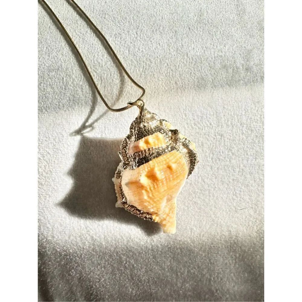 Natural color seashell necklace with gold trim ￼